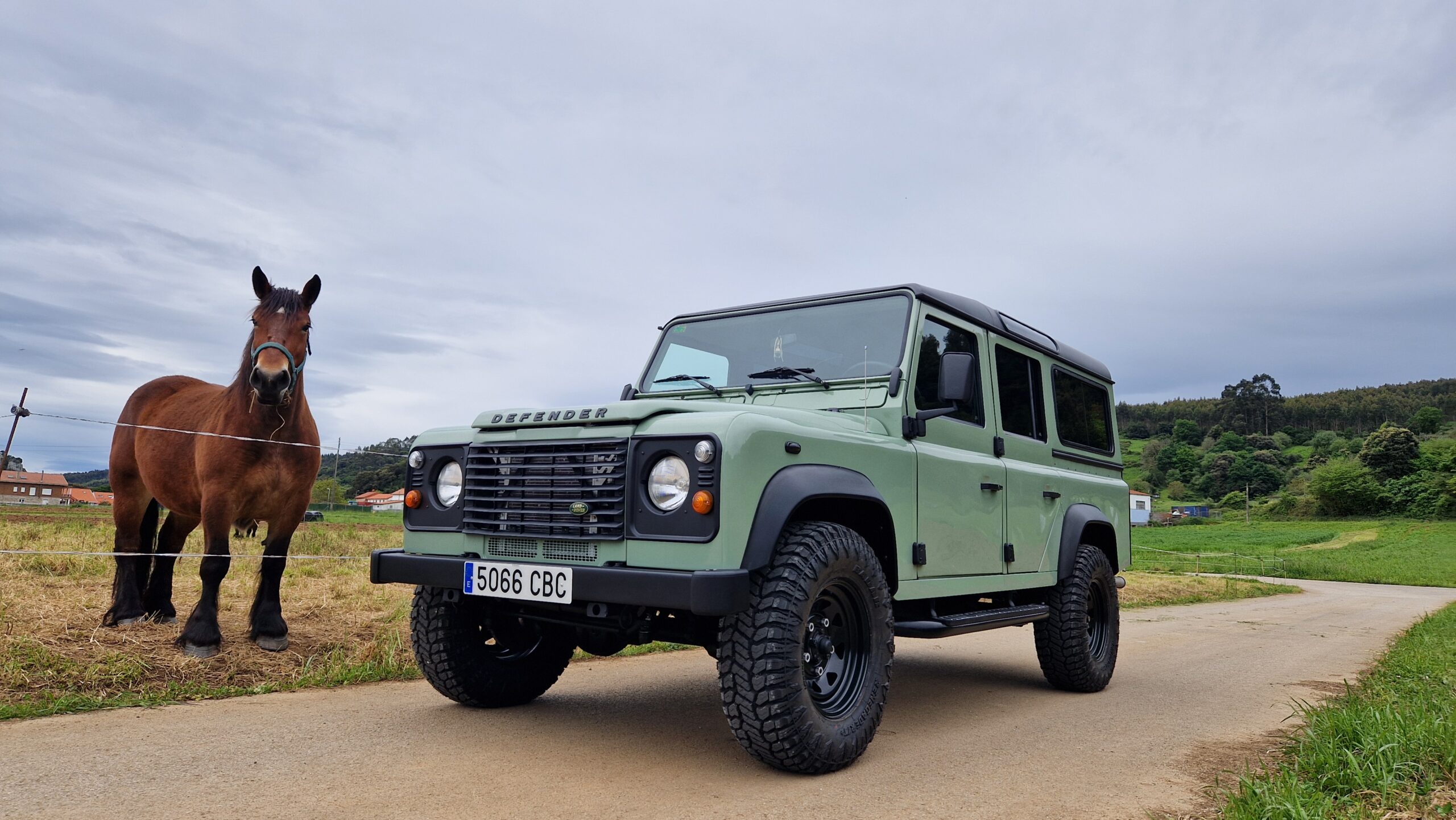 defender
